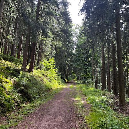 Gaestehaus Im Erzgebirge Zwönitz Zewnętrze zdjęcie